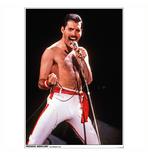 Queen Poster Freddie Mercury