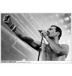 Queen Poster Freddie Mercury