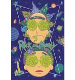 Rick and Morty Poster High In