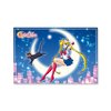 Sailor Moon Poster