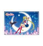 Sailor Moon Poster
