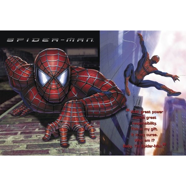Spider-Man Poster