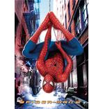 Spider-Man 2 Poster