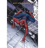 Spider-Man 2 3D Poster