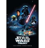 Star Wars Trilogy Poster