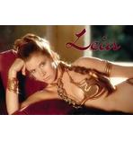 Star Wars Poster Prinzessin