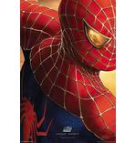 Spider-Man 2 Poster