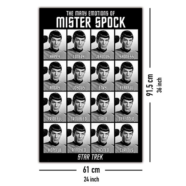 Star Trek Classics Poster The