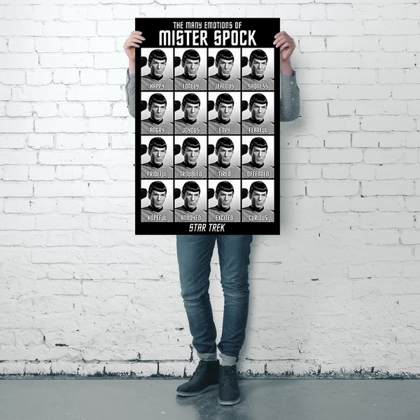 Star Trek Classics Poster The