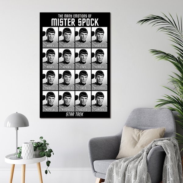 Star Trek Classics Poster The