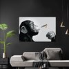Steez Poster Monkey Joint Time
