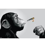 Steez Poster Monkey Joint Time