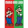 Super Mario Poster