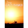 Sunny California Poster