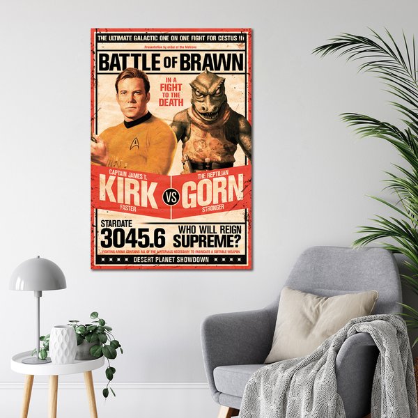 Star Trek Poster Kirk vs