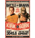 Star Trek Poster Kirk vs