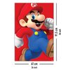 Super Mario Poster