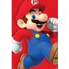 Super Mario Poster