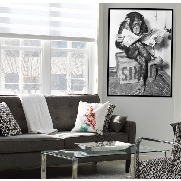 Schimpanse liest Zeitung