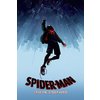 Spider-Man Poster Into The