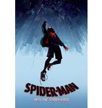 Spider-Man Poster Into The