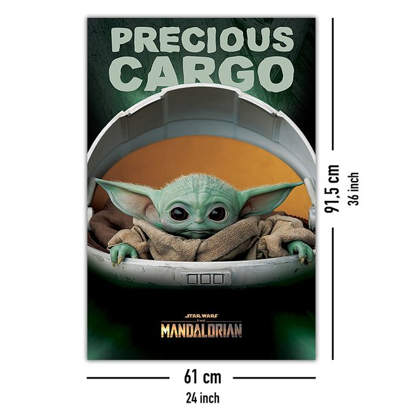 The Mandalorian Precious Cargo