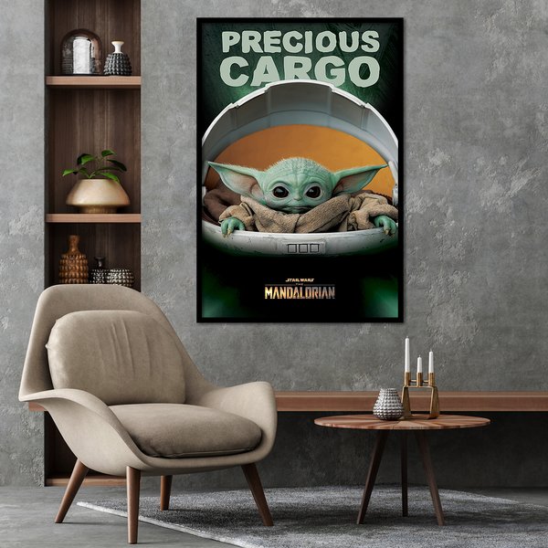 The Mandalorian Precious Cargo