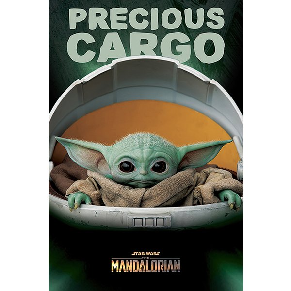 The Mandalorian Precious Cargo