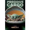 The Mandalorian Precious Cargo