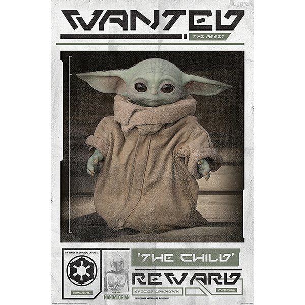 The Mandalorian Wanted Baby
