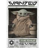 The Mandalorian Wanted Baby