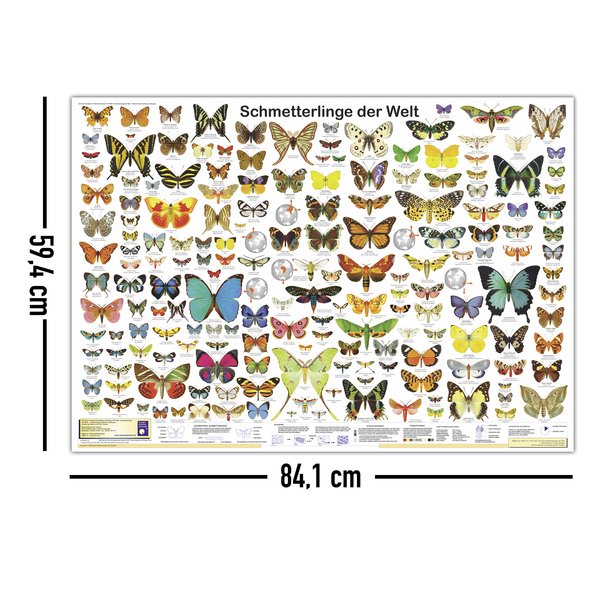 Schmetterlinge der Welt Poster