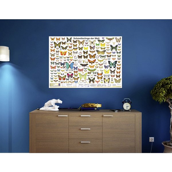 Schmetterlinge der Welt Poster