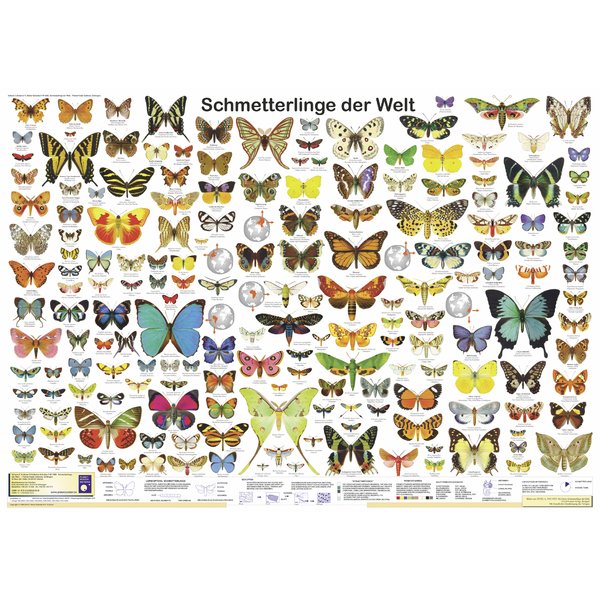 Schmetterlinge der Welt Poster