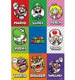 Super Mario Poster Characters