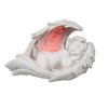Schlafender Engel LED Leuchte
