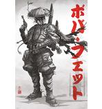 Star Wars Poster Visions