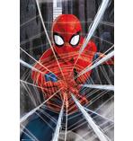 Spider-Man Poster Marvel
