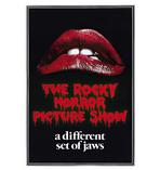 The Rocky Horror Picture Show