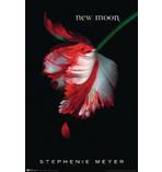 Twilight new Moon Poster