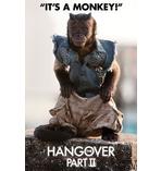 The Hangover 2 Poster Monkey