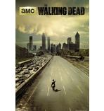 The Walking Dead Poster