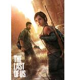 The Last Of Us Poster