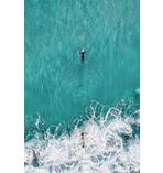 The Big Blue Poster Surfer