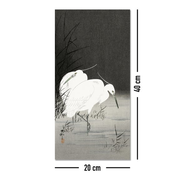 Two Egrets In The Reeds