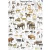 Tiere im Zoo Poster