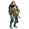 Teenage Mutant Ninja Turtles