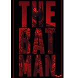 The Batman Poster Cut Away