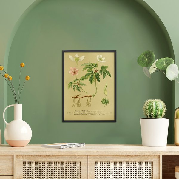 Vintage Lehrposter Kunstdruck