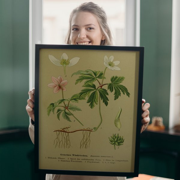 Vintage Lehrposter Kunstdruck